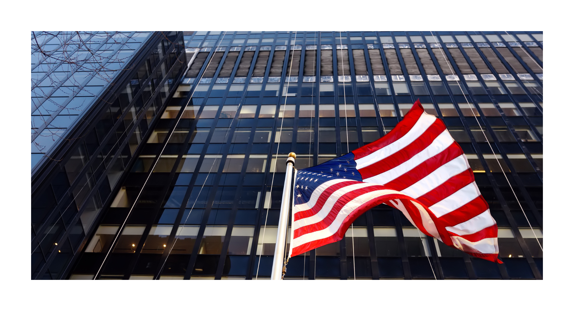 U.S. Companies Graphic